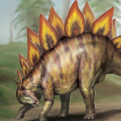 ステゴザウルスのイラスト 恐竜イラスト 大迫力 恐竜 古生物大百科