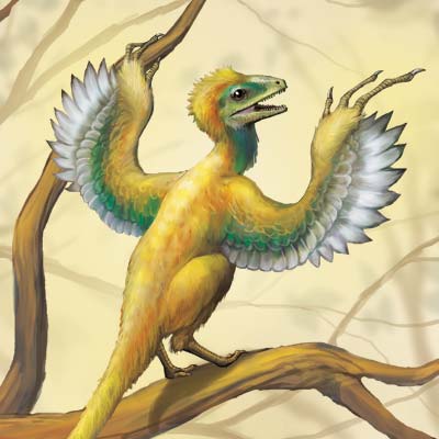 スカンソリオプテリクスのイラスト 恐竜イラスト 七海ルシアのモンスターイラスト格納庫