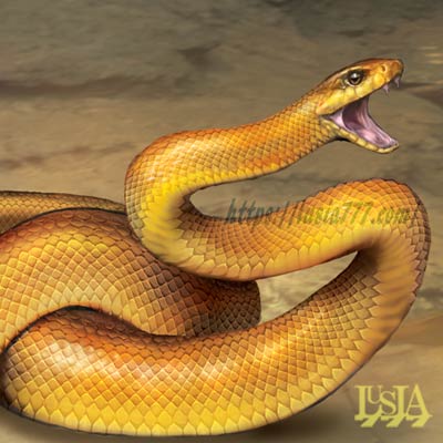コレクション リアル 白蛇 蛇 イラスト Josspicturexbnzg