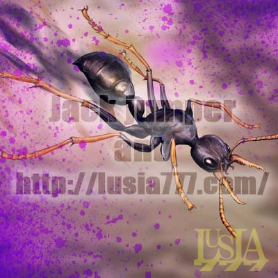 ホッパーアント トビキバハリアリ 動物のリアルイラスト 七海ルシアのモンスターイラスト格納庫