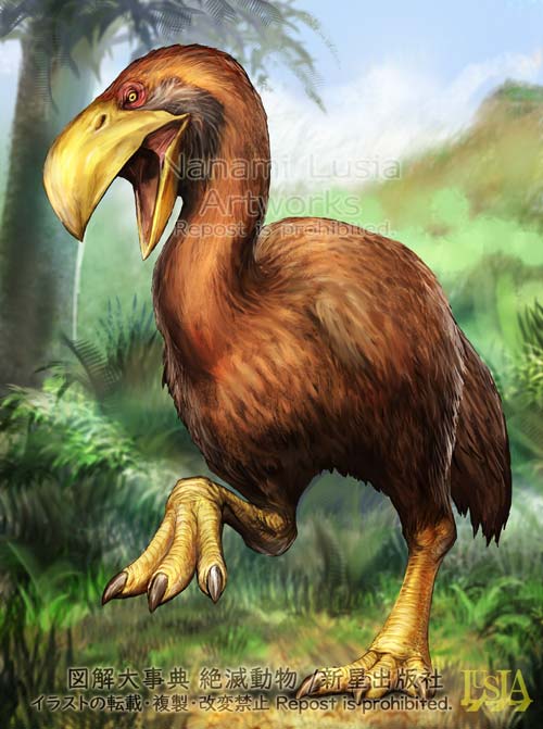 絶滅した巨大鳥、ガストルニスのイラスト