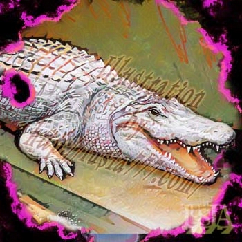 世界の都市伝説、下水道に住む白いワニ