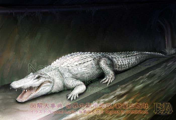 アメリカ、ニューヨークの地下に生息するという白いワニのイラスト。