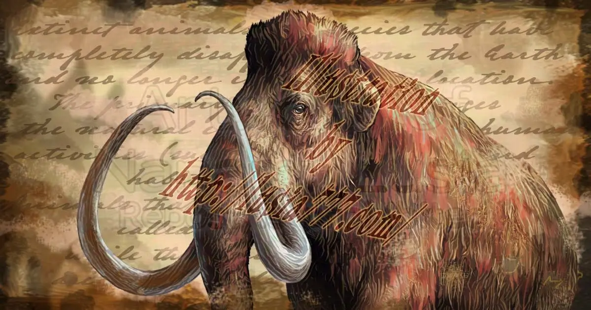 氷河期のケナガマンモスのイラスト TOP/ Paleoart depicting a woolly mammoth that lived during the Ice Age.mein