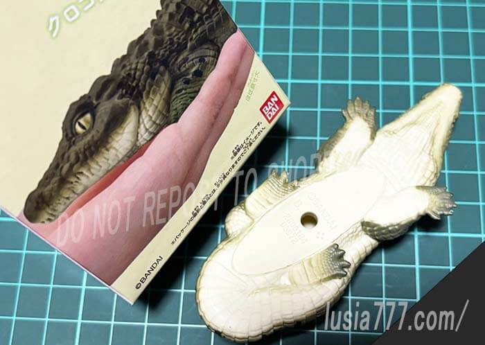 ワニの指の数は、前足5本、後足4本。フィギュアでも再現されている。