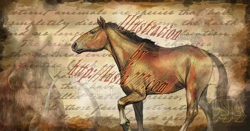 メリキップス：3本指のウマの先祖のイラスト トップ画 / Paleoart of the extinct animal Merikips