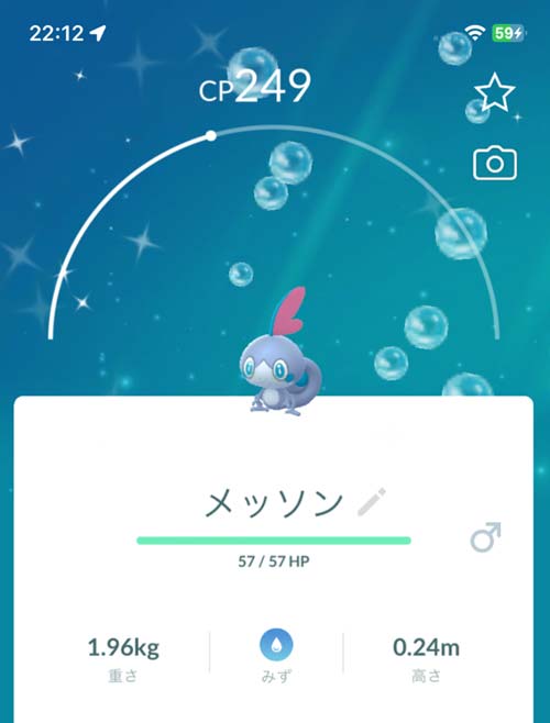色違いのメッソンの画像。黄色いヒレの部分が、ピンクっぽい色になるので分かりやすい。